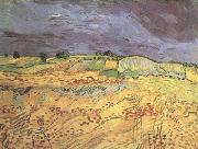 Vincent Van Gogh The Fields (nn04) Germany oil painting artist